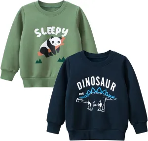 Toddler Boys Fleece Sweatshirts Dinosaur Crewneck Pullover Sweater Winter Clothes